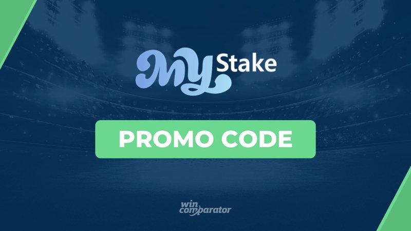 Learn about mystake login